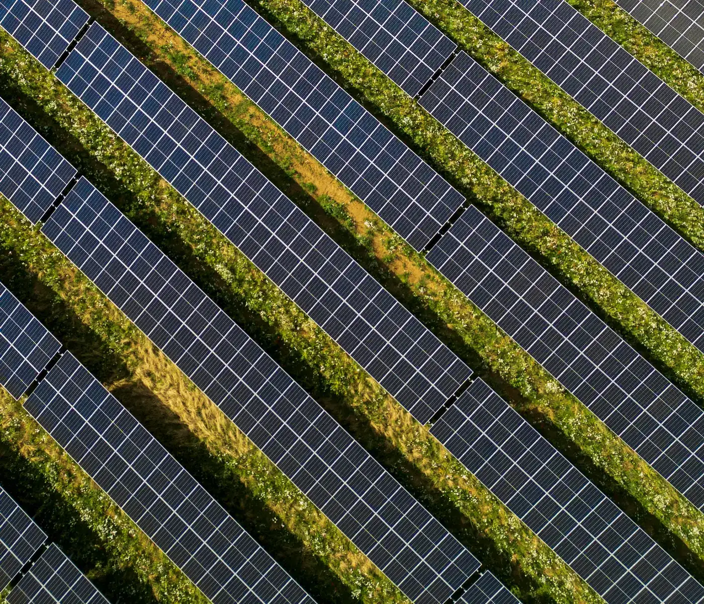 Rows of solar panels across a field, seen from above.