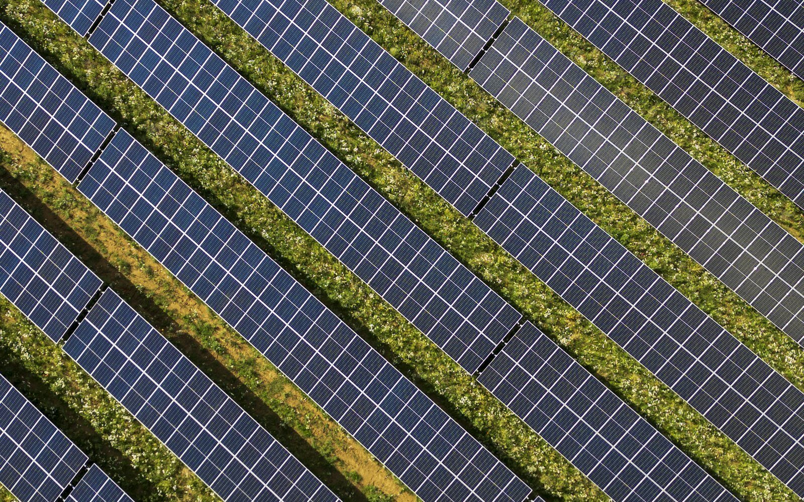 Aerial view of long rows of solar panels installed across green ground.